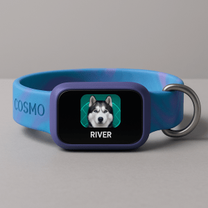 Cosmo Edition™: The Ultimate AI-Enhanced Pet&nbsp;Collar